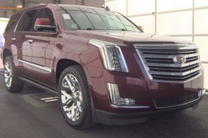 2016 Cadillac Escalade - Image 4